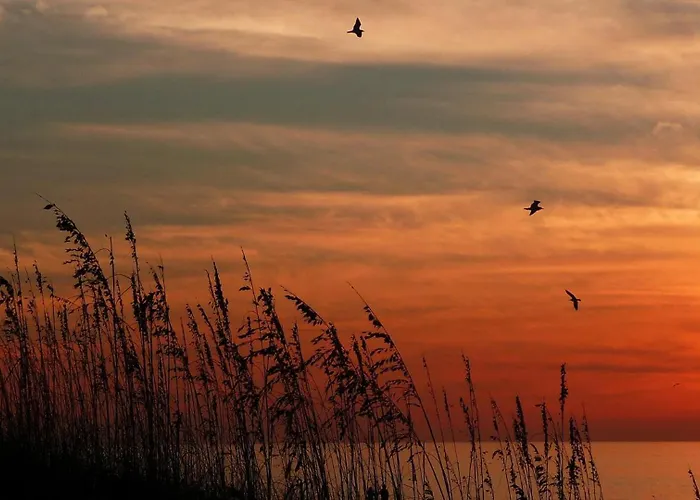 Holiday home Pelican Pointe 4c Clearwater Beach